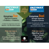 ENZYMAX DUAL RELEASE CAP IN CAP FOOD SUPPLEMENT 10 DOUBLE CAPSULES